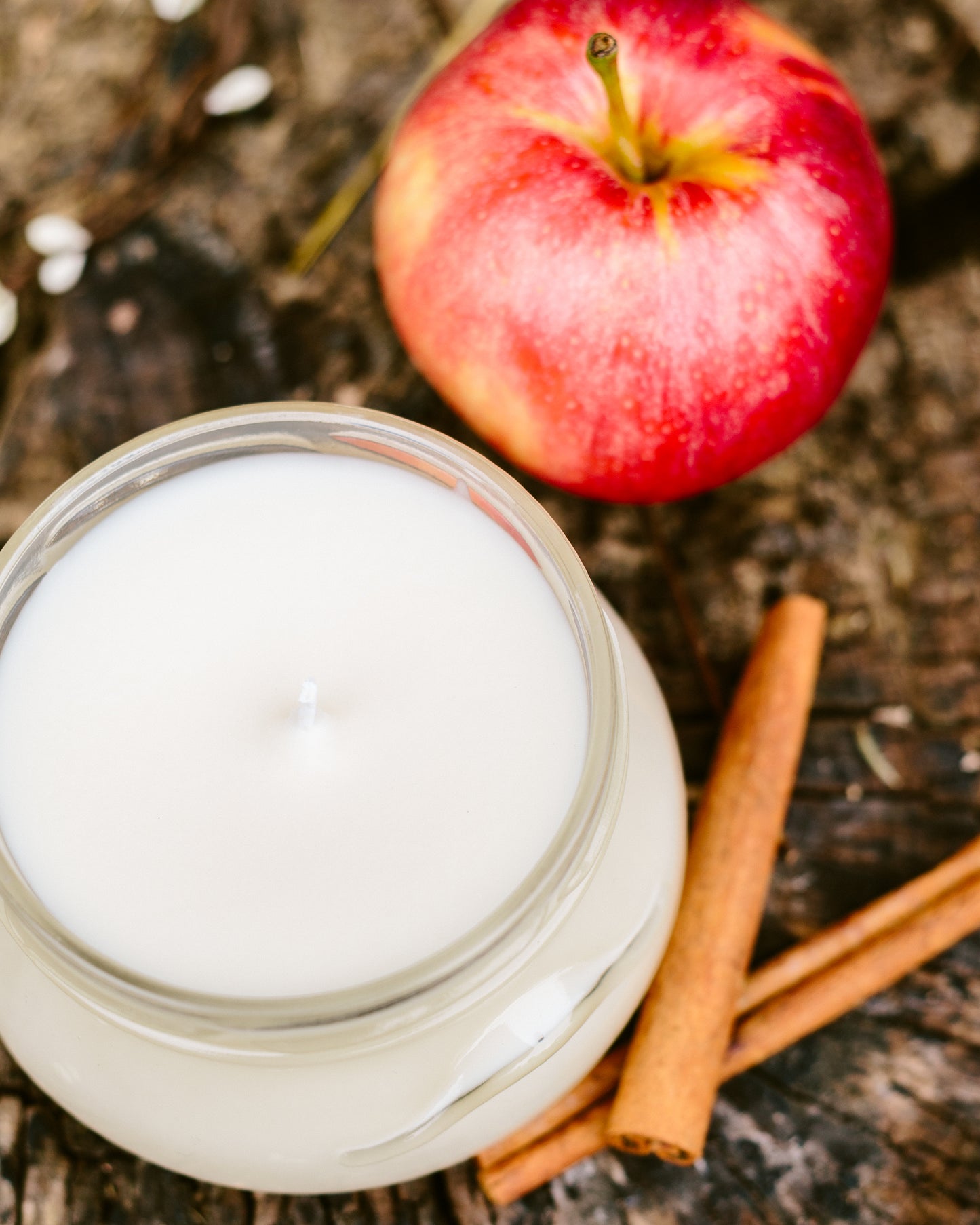 Warm Cider 6 oz Candle