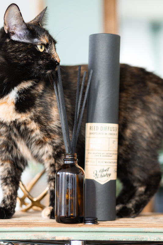 An amber reed diffuser bottle with black fiber diffuser reeds and a label, placed on a surface with a cat sitting beside it.